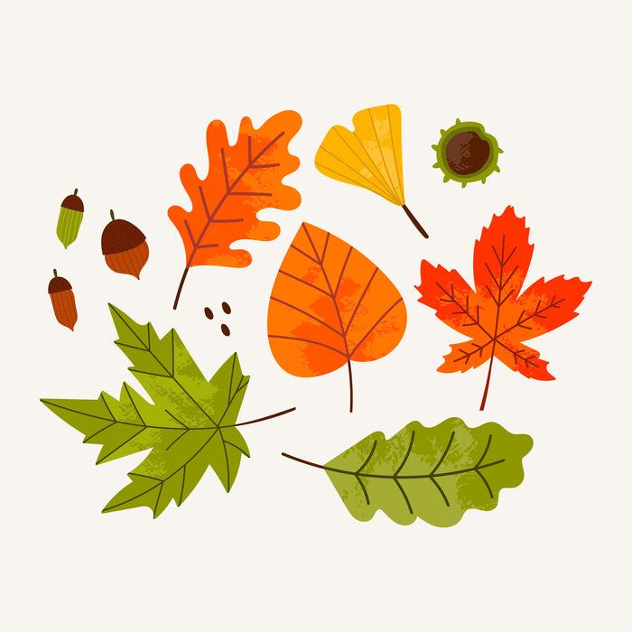 3 Pieces for the Autumn Season