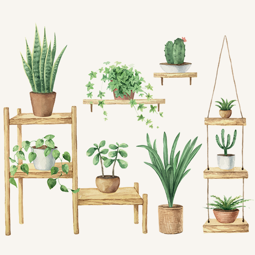 Plant Aesthetic in the Home