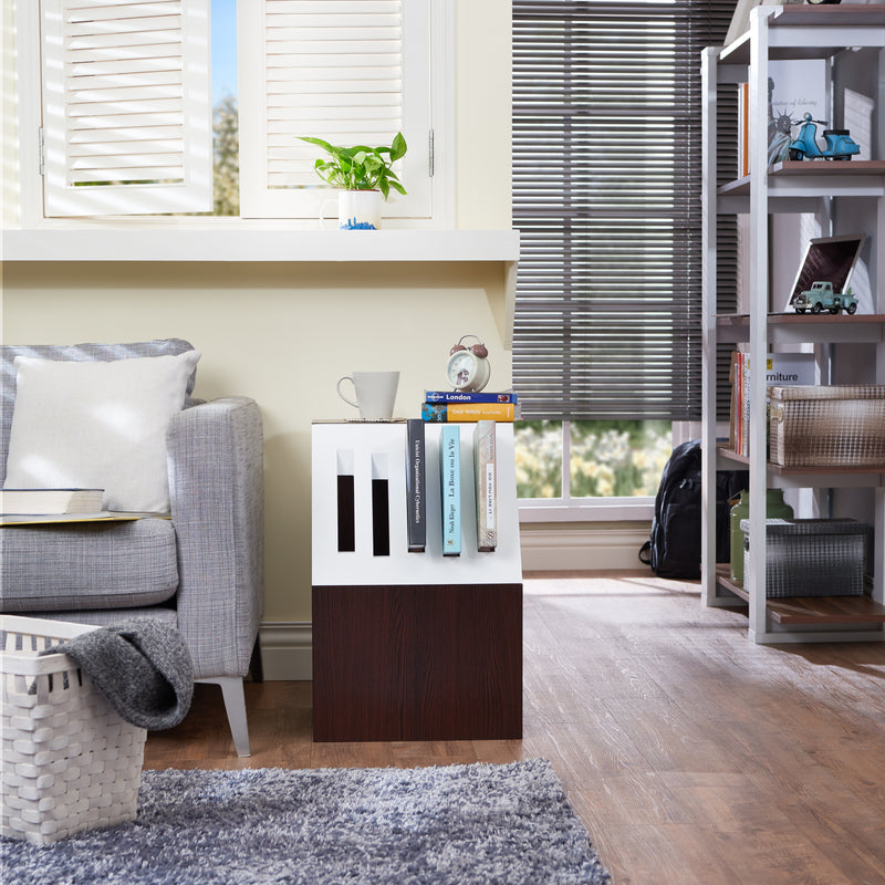 Talima Modern End Table with Book Rack