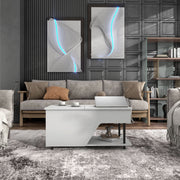 Front facing contemporary white storage coffee table with shelves and a lift top in a living room with accessories