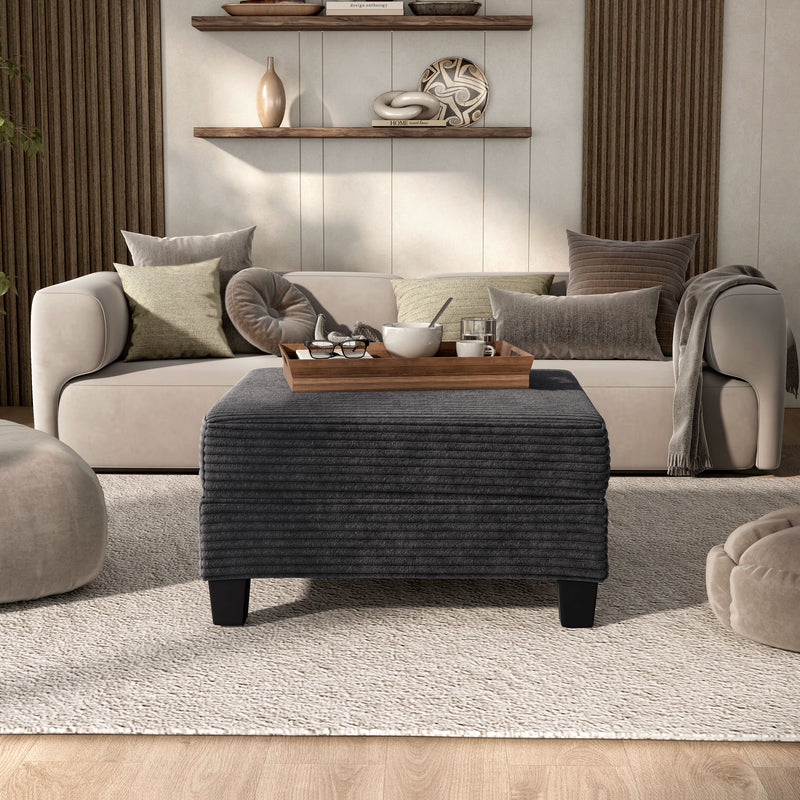 Xenia Modern Chenille Ottoman with Storage