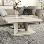 Right facing modern cream weave square storage coffee table with door open in a room with accessories