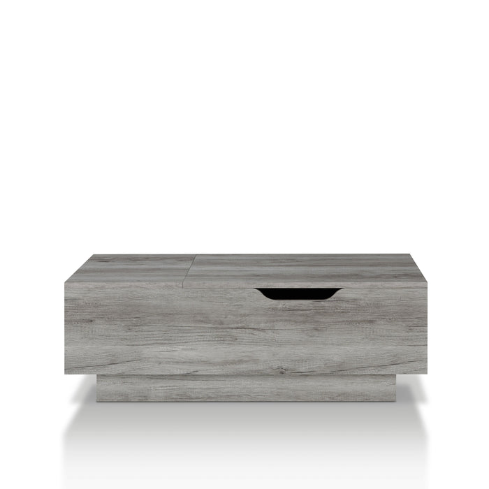 Harsin Rectangular Lift-Top Coffee Table with Storage