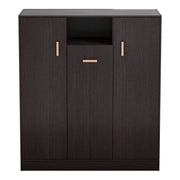 Front facing contemporary espresso three-door one shelf shoe cabinet on a white background