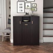 Front facing contemporary espresso three-door one shelf shoe cabinet in a room with accessories