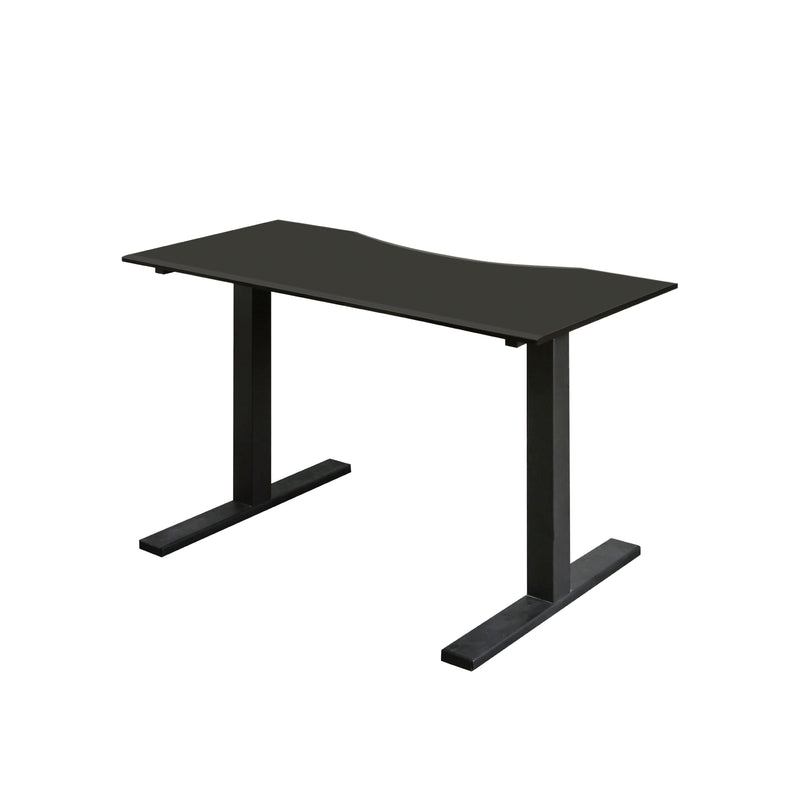 Shuler Contemporary Height Adjustable Desk with USB Power Outlet