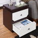 Terrance Contemporary Walnut/White End Table