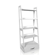 Lansville Transitional?Ladder Bookcase