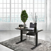 Shuler Contemporary Height Adjustable Desk with USB Power Outlet