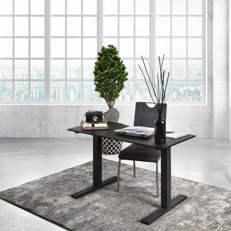 Shuler Contemporary Height Adjustable Desk with USB Power Outlet