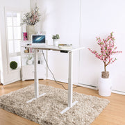 Shuler Contemporary Height Adjustable Desk with USB Power Outlet