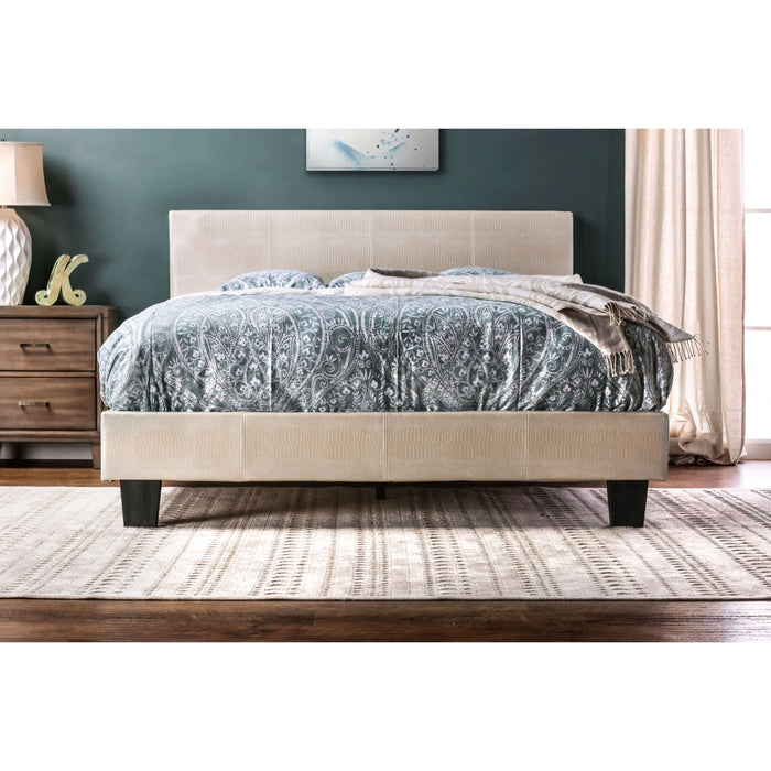 Front-facing, low-view of the pearl white faux crocodile leather queen platform bed in a contemporary bedroom. The bluish-grey bedding and wall compliment the off-white tone. The black tapered legs are supported with an extra center leg beneath the bed.
